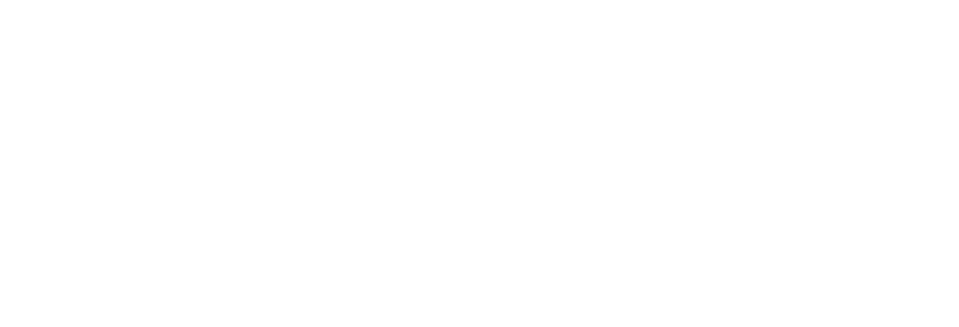 de-logo-white.png