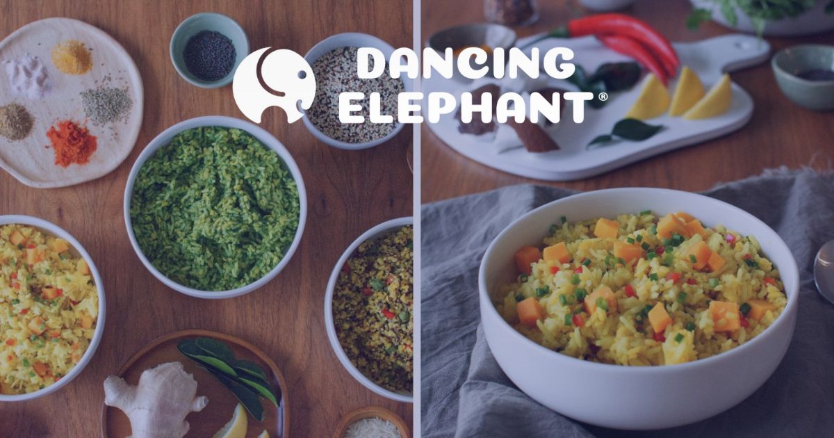 Modern Ayurveda & Kitchari Premixes - The Dancing Elephant